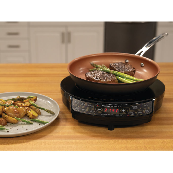 NuWave Induction Hot plate & Reviews Wayfair